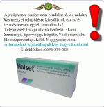 Halset tabletta 24X