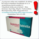Septofort tabletta 12x *