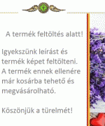 HERBioticum Mesterbalzsam gyógynövényekkel 250 ml *
