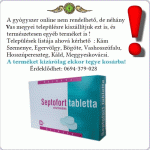 Septofort tabletta 24x *