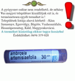 Ambrosia artemisiafoila 30CH 4g *